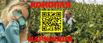 спиды Коммунар