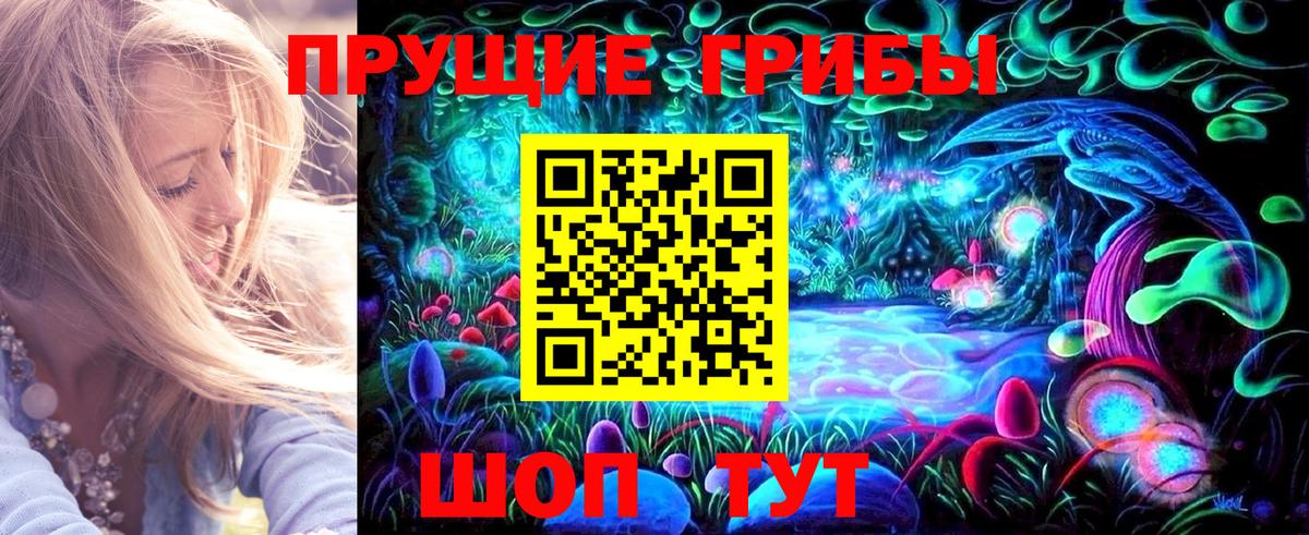 Псилоцибиновые грибы Psilocybine cubensis Кропоткин