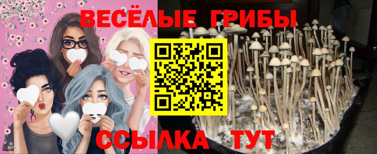 Псилоцибиновые грибы мухоморы  Вход с VPN  Кропоткин 